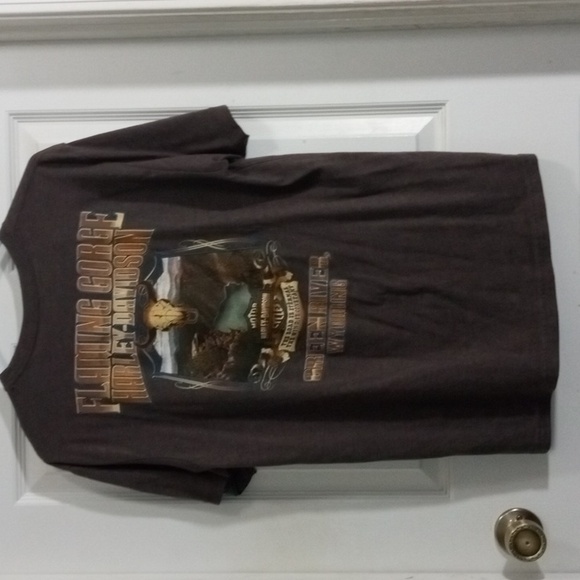 Harley-Davidson Gray Short Sleeve Tee Men’s Large - Picture 4 of 6